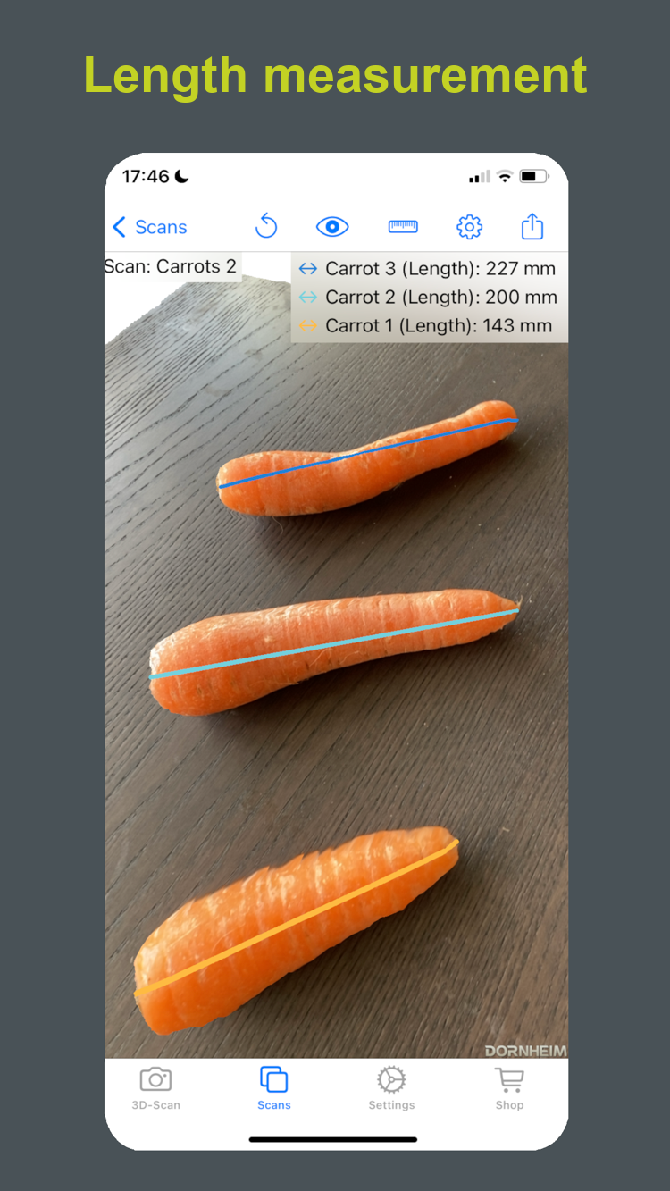 Dornheim 3D Scanner – measuring lengths