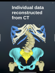 Dornheim Real Anatomy Screenshot 2